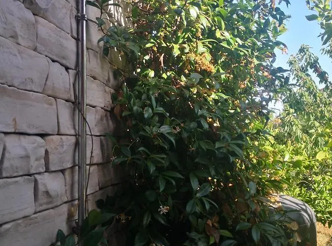 Endi Apartamento